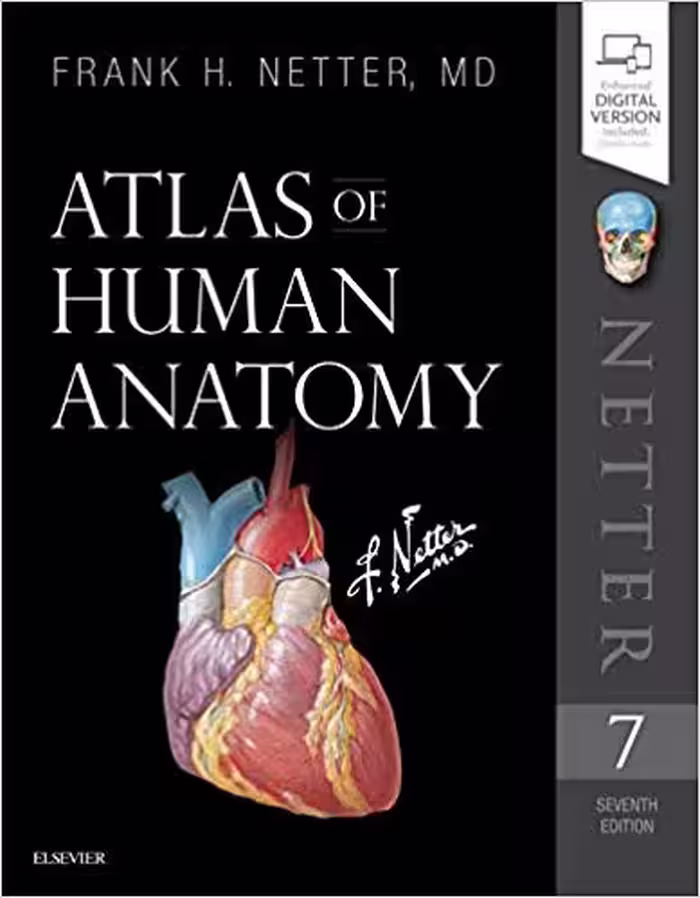 󾕇 دانلود کتاب Atlas Of Human Anatomy - Including Student Consult, 7th ed, 2018 - دانلود کتاب های دانشگاهی