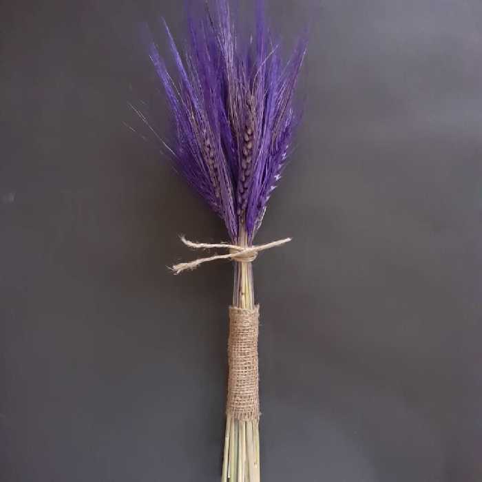 خوشه گندم خشک تزیینی مدل Gn101