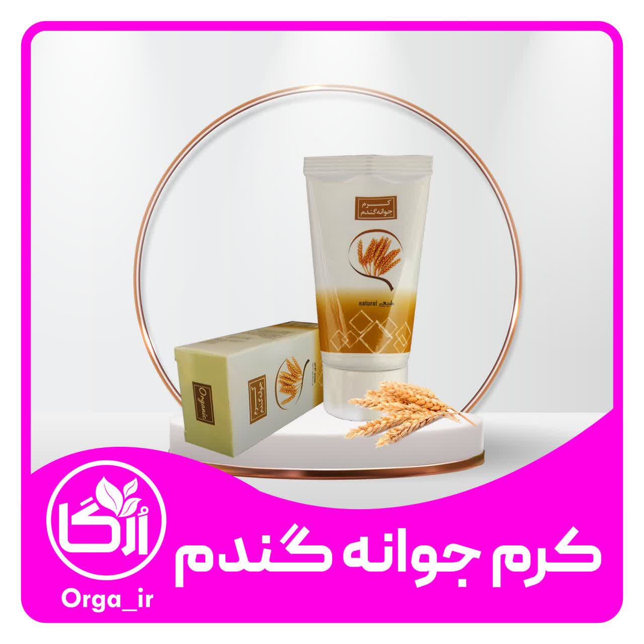 کرم جوانه گندم