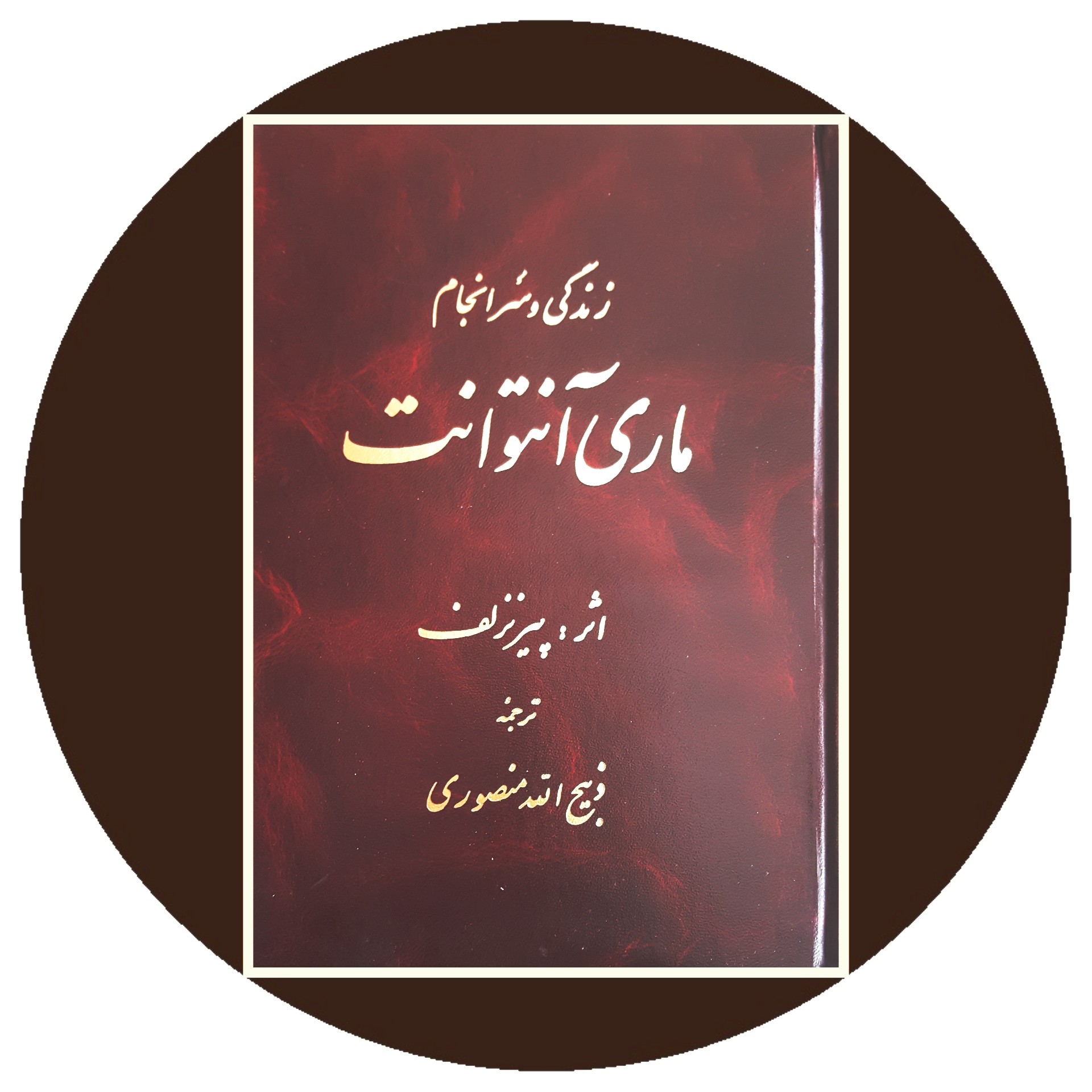 کتاب زندگی و سرانجام ماری آنتوانت - خرید با تخفیف چهل درصد ازکتاب دایره قهوه ای -