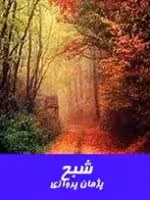 فایلpdfرمان شبح اثر پژمان پروازی