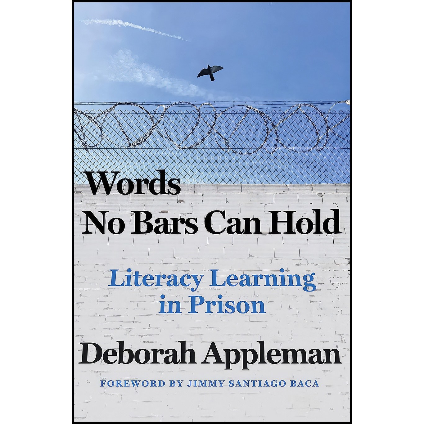 کتاب زبان اصلی Words No Bars Can Hold اثر Deborah Appleman