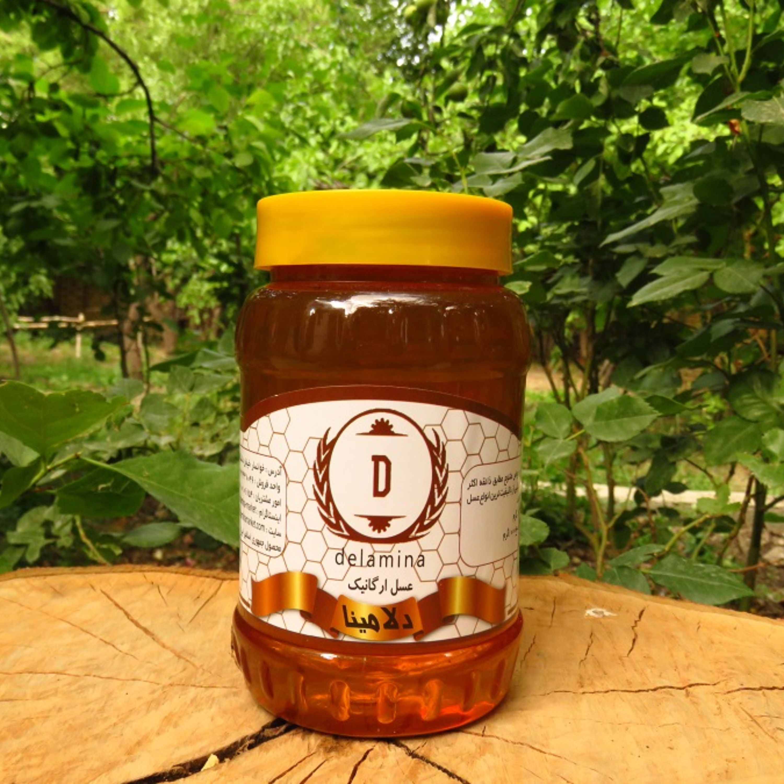 عسل آویشن مخلوط طبیعی - 500 گرمی - دارای برگه آزمایش
