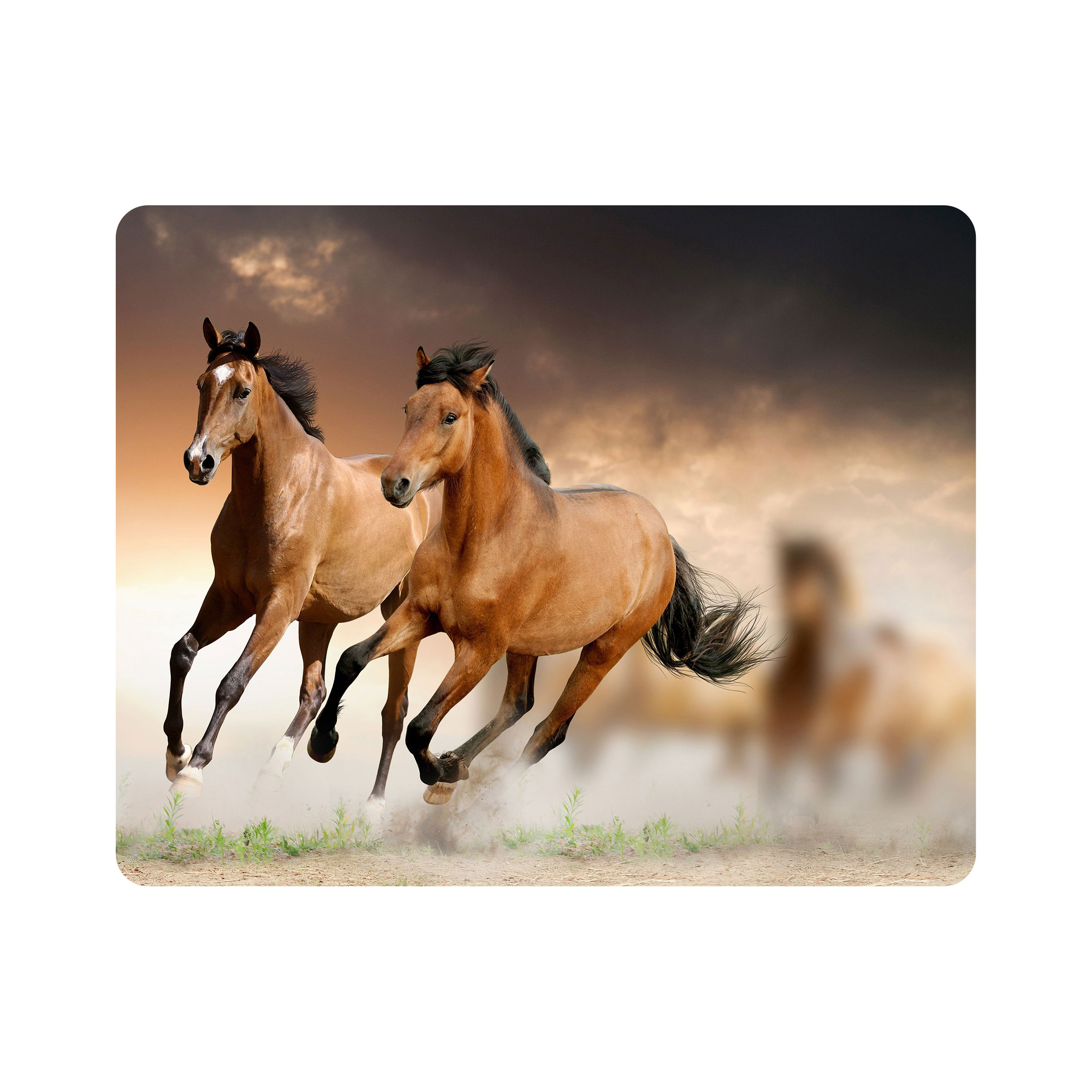 ماوس پد اطلس آبی طرح حیوان اسب مدل T1323