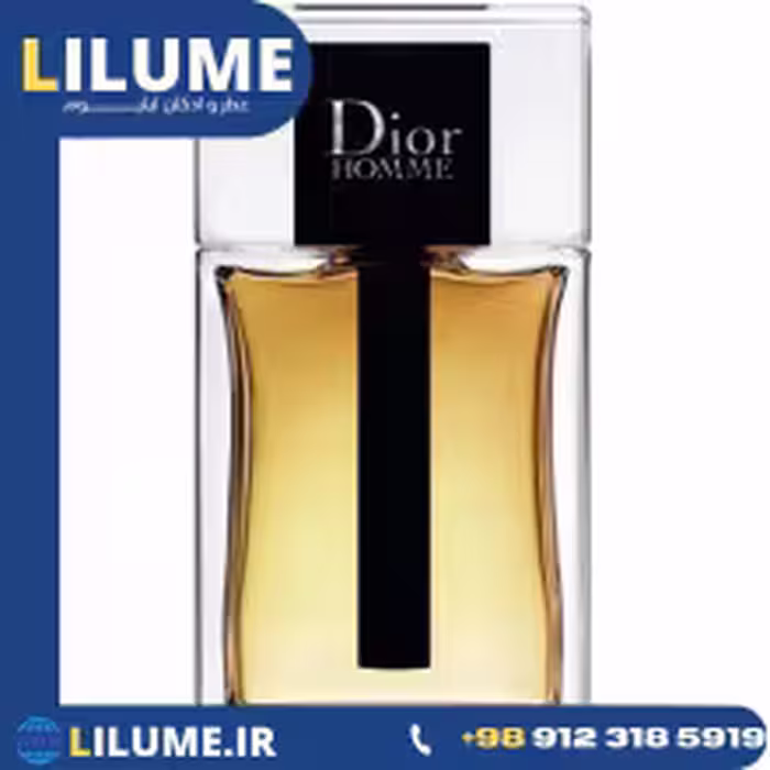 عطر ادکلن دیور هوم 2020 100 میل مردانه
