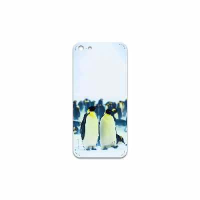 برچسب پوششی ماهوت مدل Penguin مناسب برای گوشی موبایل اپل iPhone 5c