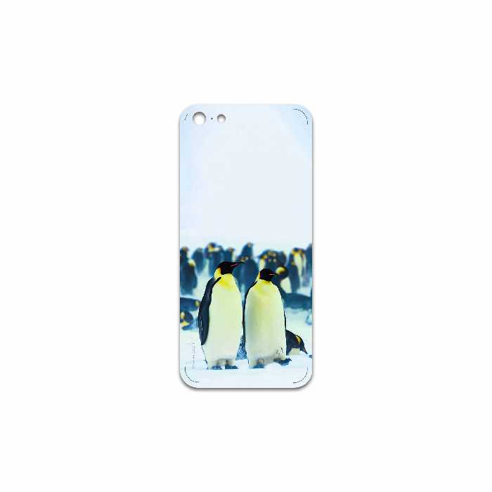 برچسب پوششی ماهوت مدل Penguin مناسب برای گوشی موبایل اپل iPhone 5c