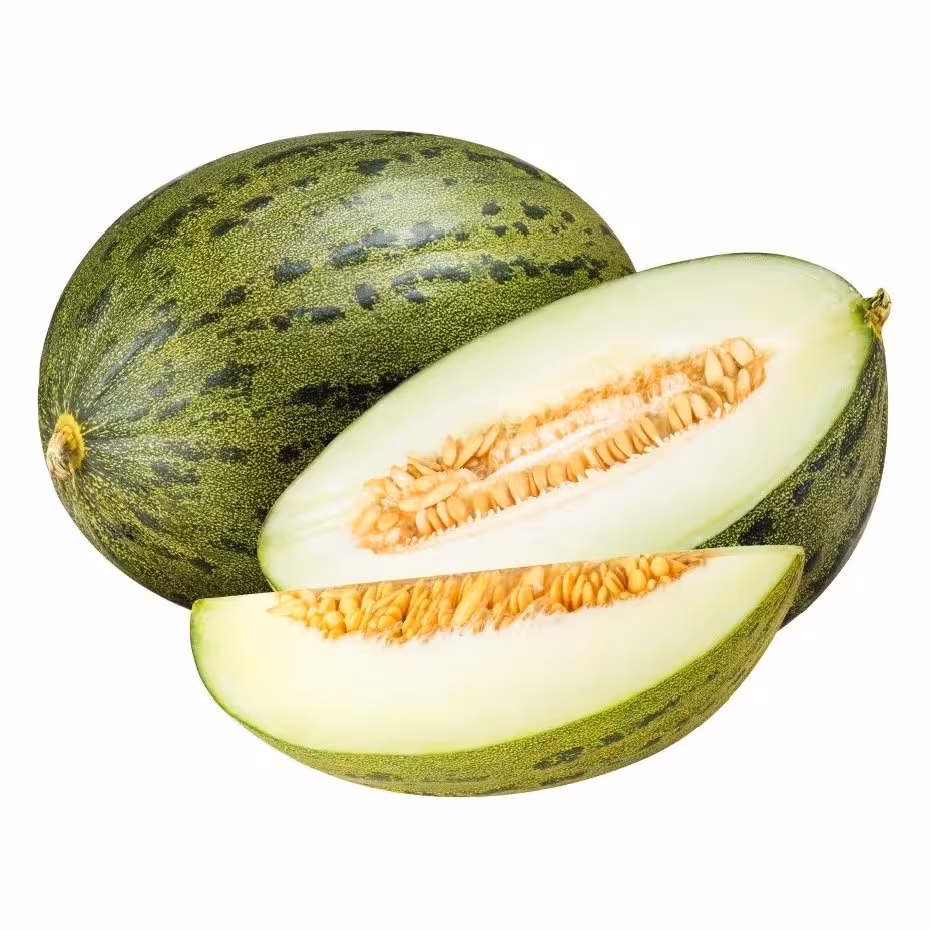 بذر خربزه تیل سبز