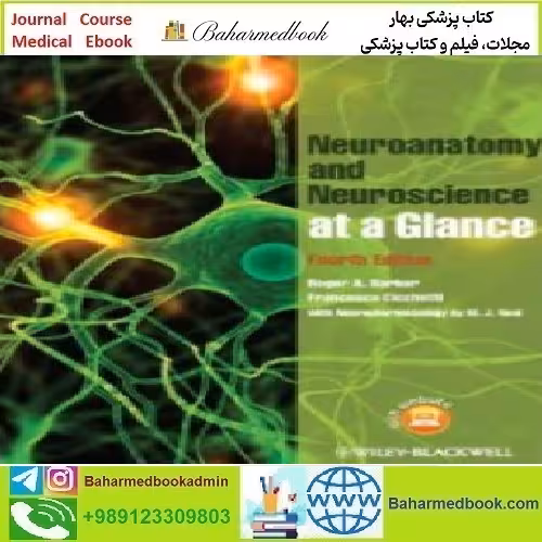 Neuroanatomy and Neuroscience at a Glance 201