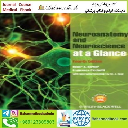 Neuroanatomy and Neuroscience at a Glance 201
