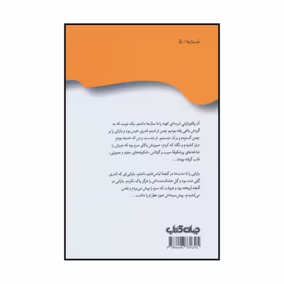 کتاب به خاطر باران نامه هایی از پراگ اثر پرویز دوائی نشر جهان کتاب