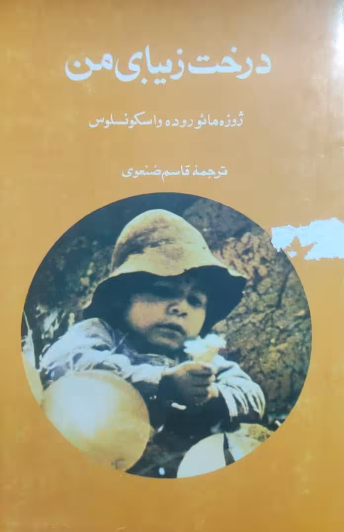 درخت زیبای من نوشته‌ی ژوزه مائوروده واسکونسلوس