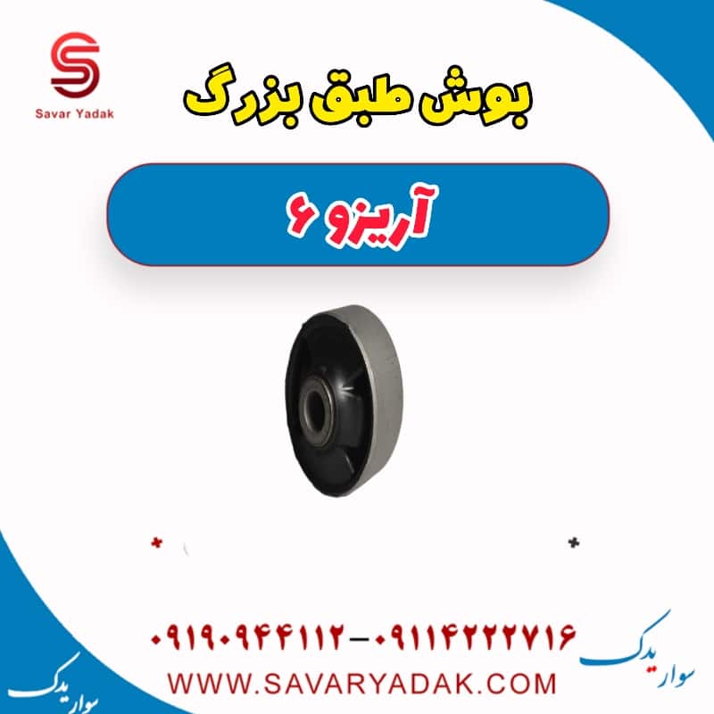 بوش طبق بزرگ آریزو 6