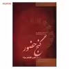 کتاب گنج حضور اثر پرویز شهبازی