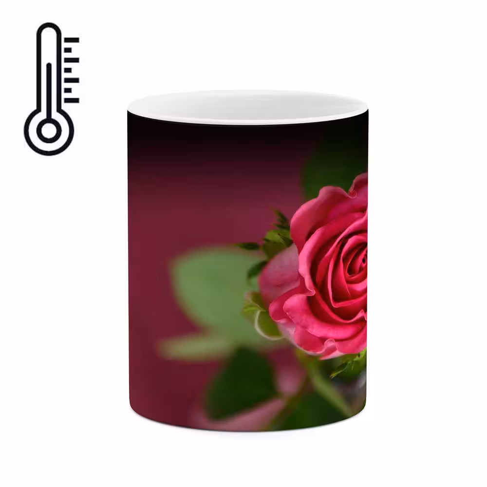 ماگ حرارتی کاکتی طرح گل مدل mgh16373