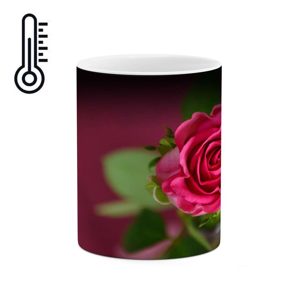 ماگ حرارتی کاکتی طرح گل مدل mgh16373