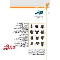 فصلنامه نقد کتاب هنر سال دوم شماره 8 زمستان 1394 - فروشگاه کتاب اشراق