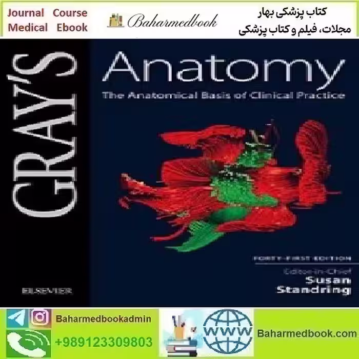 Gray's Anatomy The Anatomical Basis of Clinical Practice 20