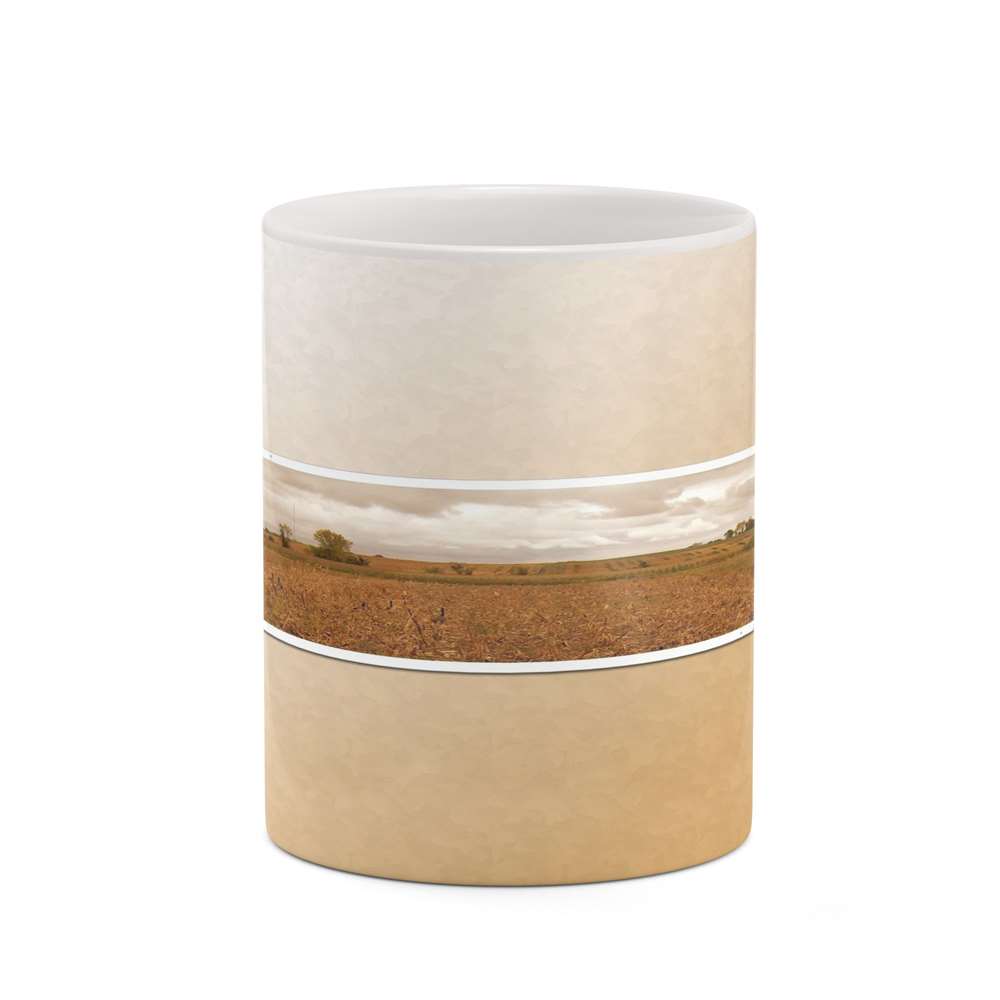 ماگ کاکتی طرح فانتزی مدل mgh20899