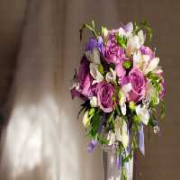 خرید و دانلود عکس Flower-Part-2 کد 17713 | پیک فاکس | Pic Fox