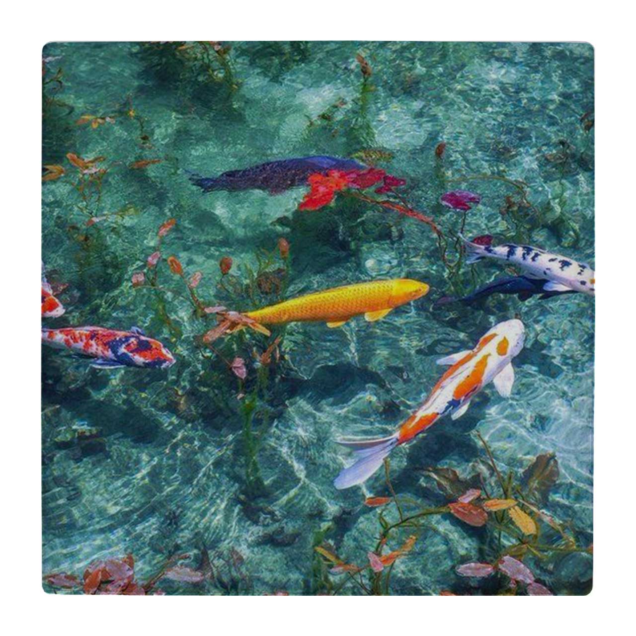  زیر لیوانی  طرح نقاشی ماهی ها در آب کد    4861242_3793