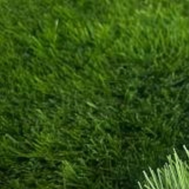 چمن مصنوعی مدل پامچال 32 میل عرض  1متر