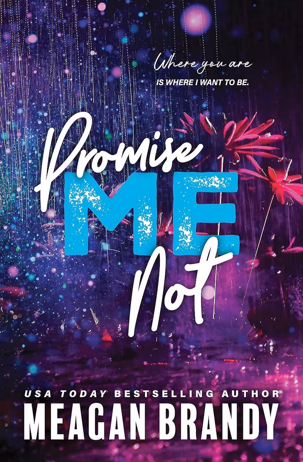 Promise Me Not (Boys of Avix Book 2) (متن کامل)