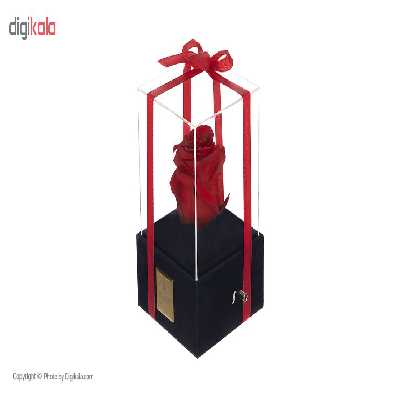 جعبه موزیکال گل ماندگار دکوفیوره مدل رز جاودان ملودی های عاشقانه 