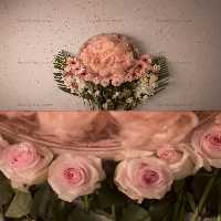 بک دراپ عکاسی نوزاد گل های صورتی | گرافیک با طعم تربچه