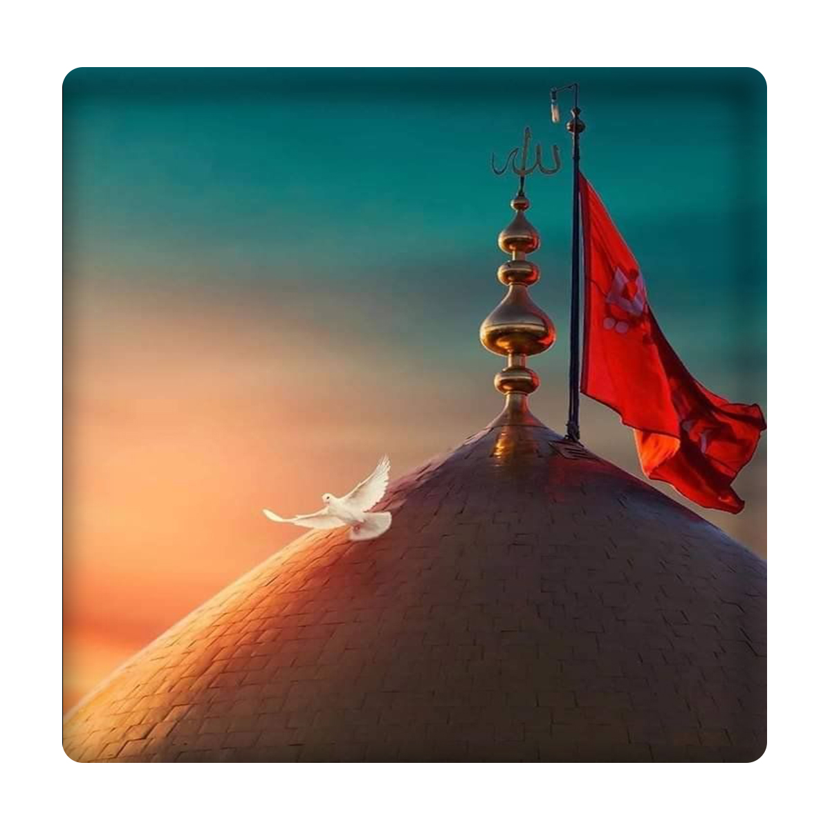 کاشی مدل امام حسین km10 کد 374