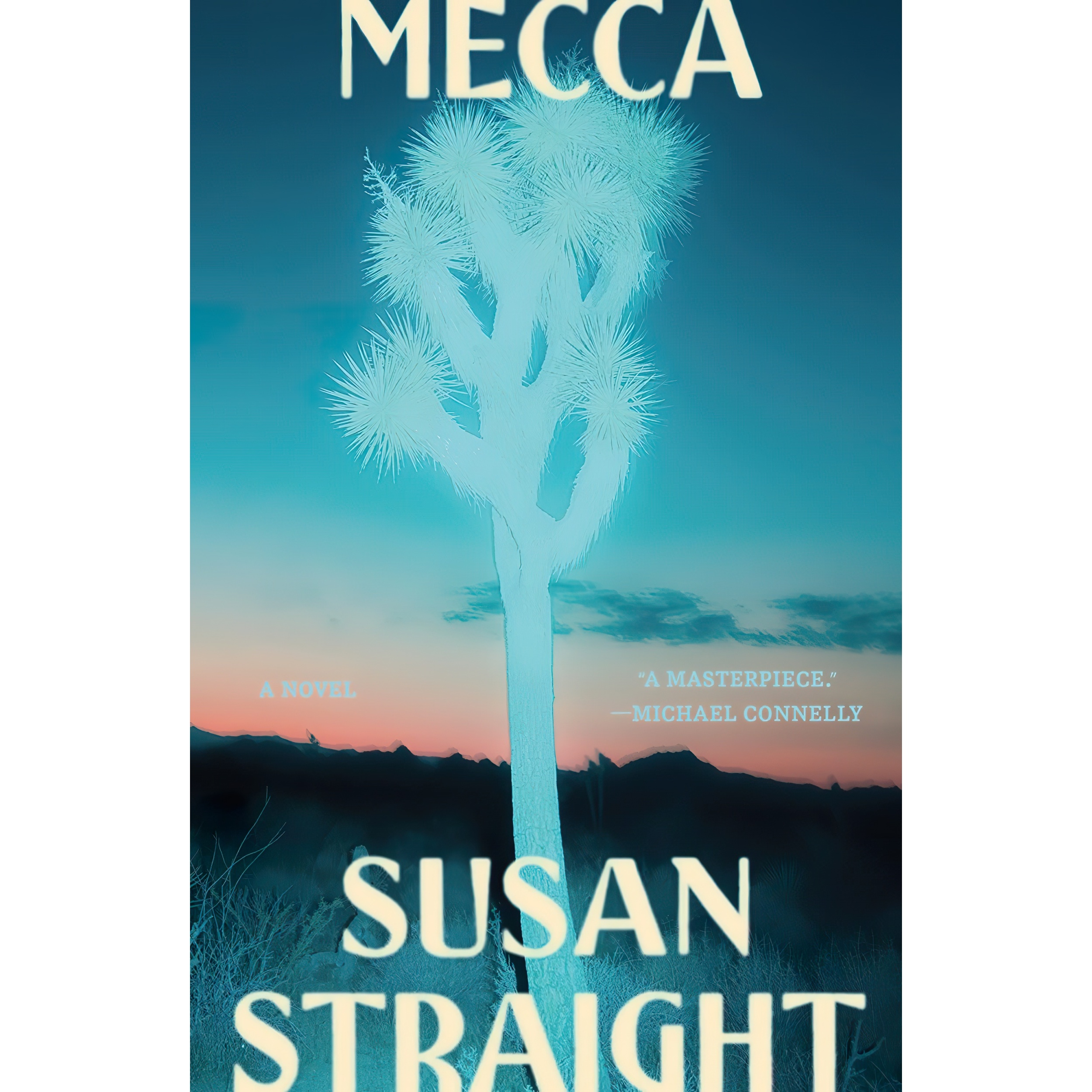 کتاب Mecca اثر Susan Straight انتشارات Farrar, Straus and Giroux