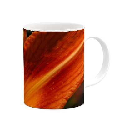 ماگ طرح گل مدل mgs12099