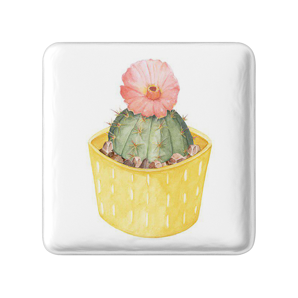 پیکسل خندالو طرح کاکتوس کد 5284