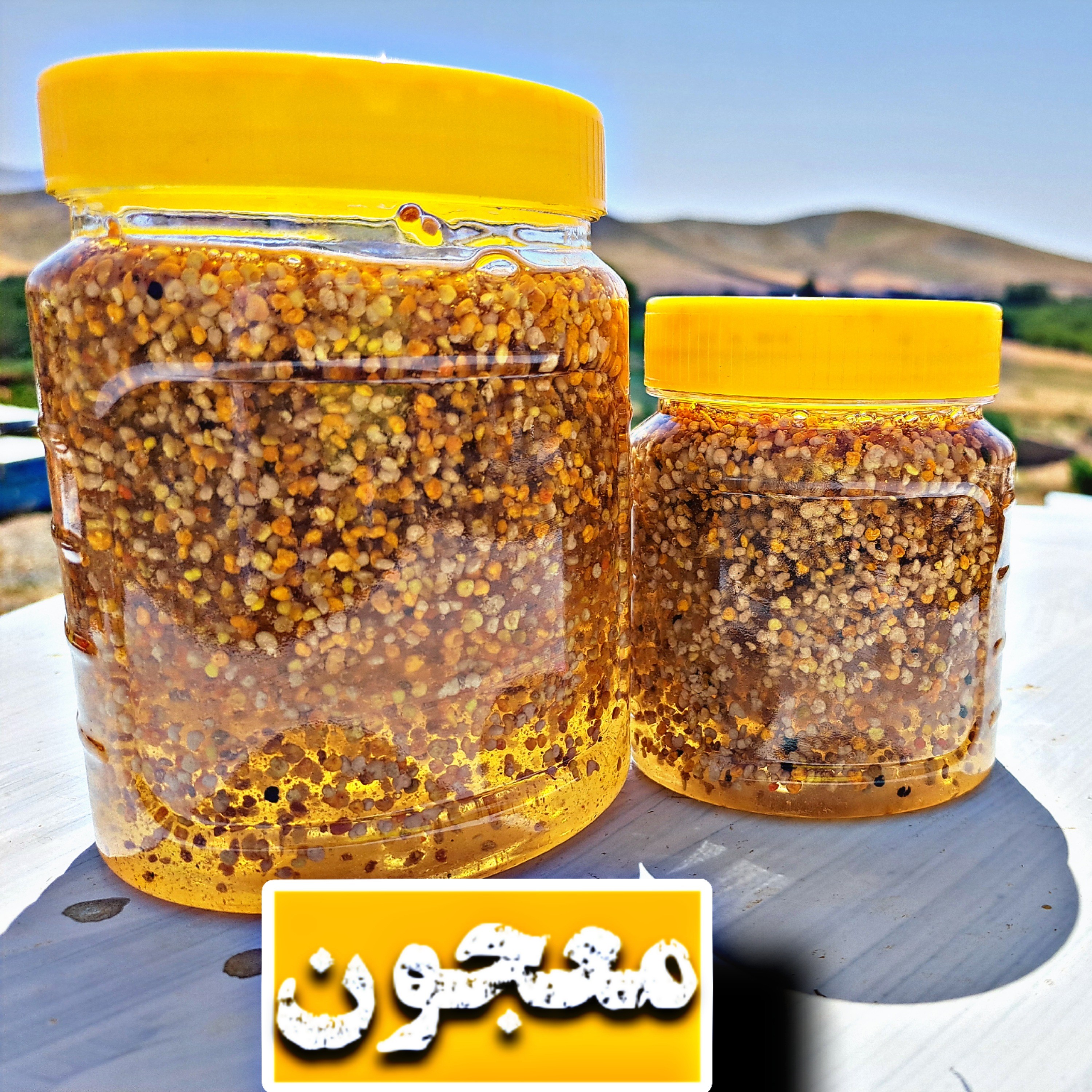 معجون (400گرم عسل.20گرم ژل رویال.80گرم گرده گل)