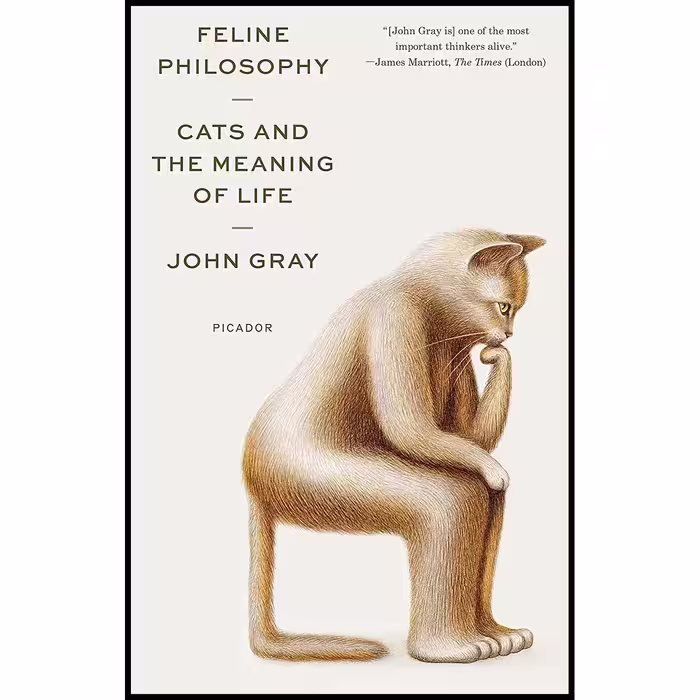 کتاب Feline Philosophy اثر John Gray انتشارات تازه ها
