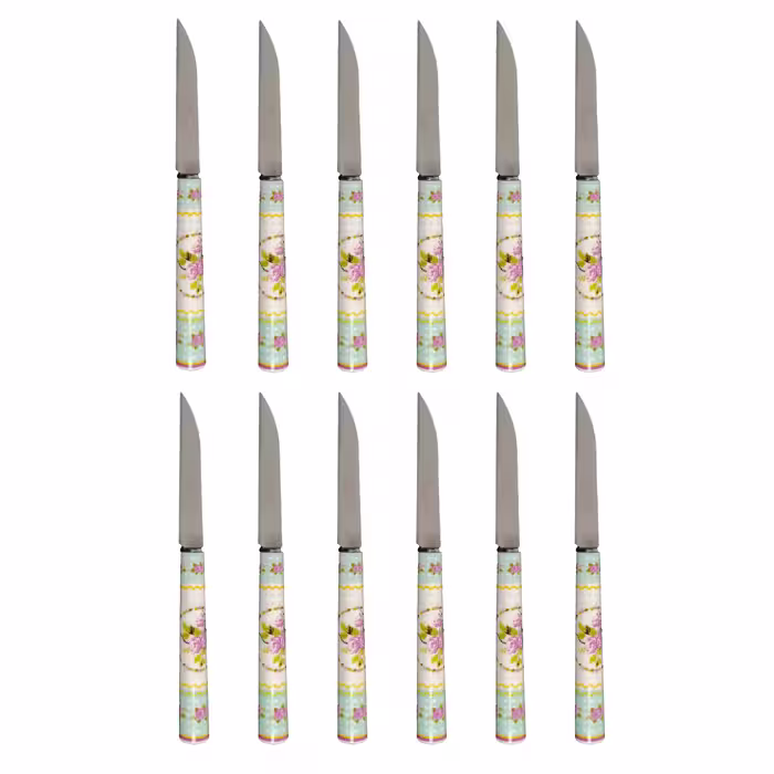 کارد میوه خوری دی ام جی مدل ROYAL-T بسته 12 عددی