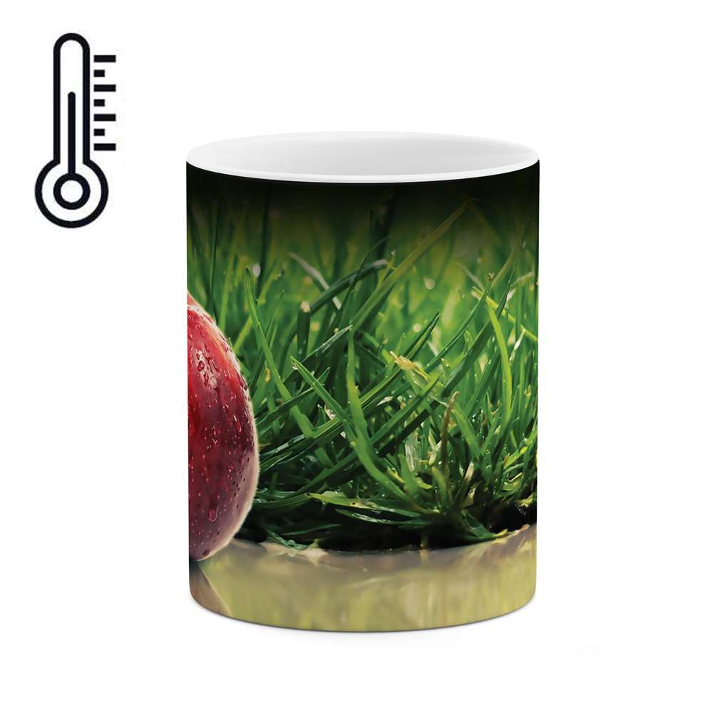 ماگ حرارتی طرح سیب مدل mgh04217