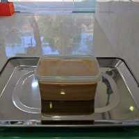 کره بادام زمینی 500 گرم تازه مرغوب وبا کیفیت