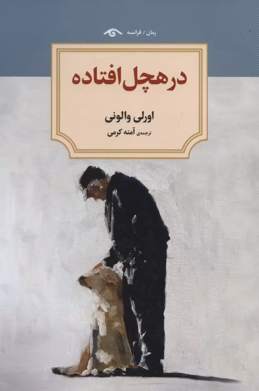 در هچل افتاده - ناشربوک | خرید آنلاین کتاب
