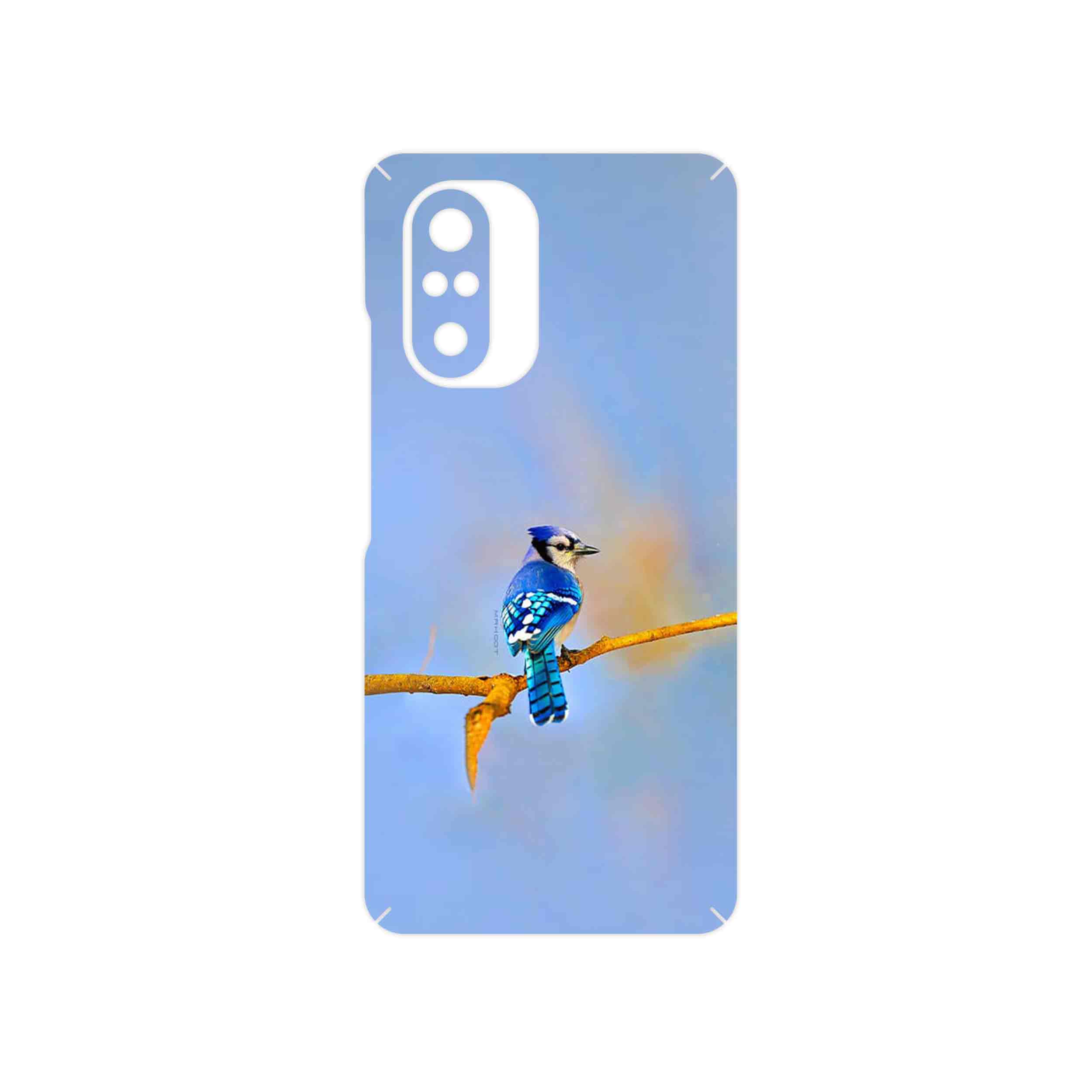 برچسب پوششی ماهوت مدل Cyanocitta cristata مناسب برای گوشی موبایل شیائومی Mi 11i