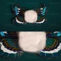 بک دراپ عکاسی نوزاد پروانه ای | گرافیک با طعم تربچه