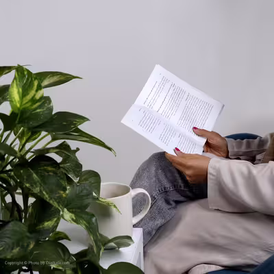 کتاب شنل پاره اثر نینا بربروا نشر ماهی
