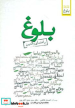 قیمت و خرید کتاب بلوغ راهنمای والدین اثر حمید آتش پور و احسان کاظمی | ایده بوک