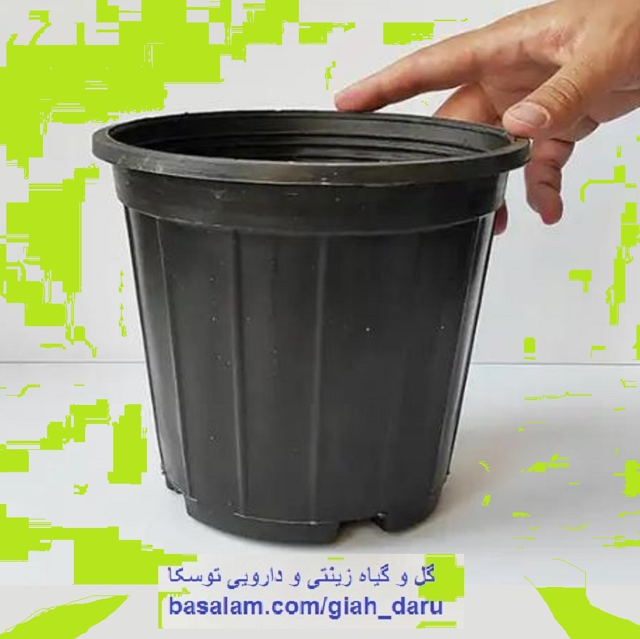 گلدان 16  یا سطل  شماره 3 کوچک  مناسب سانسوریا و انواع گل
