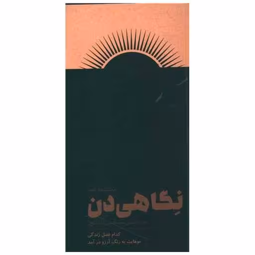 کتاب نگاهی دن اثر مرتضی شیخی
