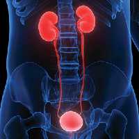 Comprehensive Review of Urology 2021 Price 30€ - کتاب پزشکی بهار