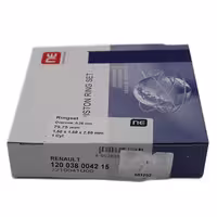 رینگ موتور 025 تعمیر اول ال90 و ساندرو NE