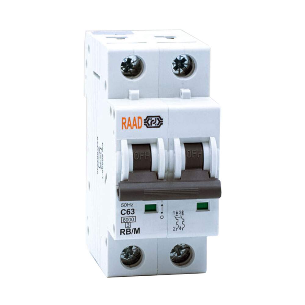 کلید مینیاتوری 2 پل 63 آمپر RB-M-2P-C63-6KA رعد