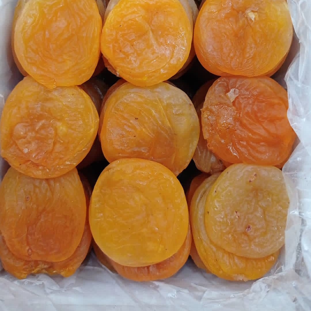 قیصی سکه ای اعلا