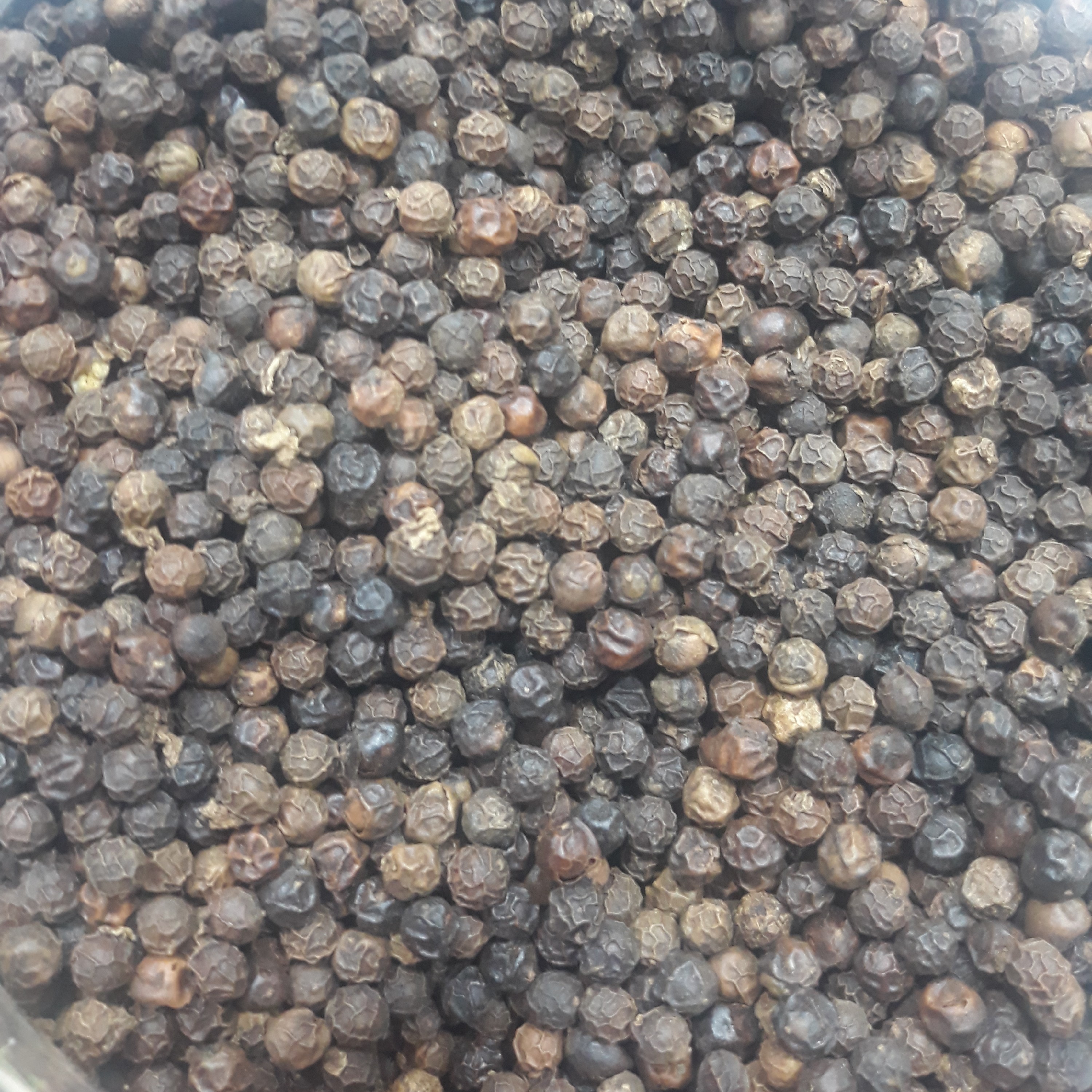 فلفل سیاه دانه درشت  100 گرمی (نسابیده) 6 میل صادراتی 